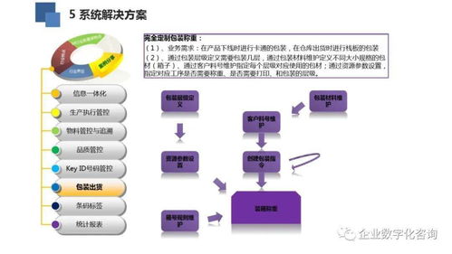 高科技電子行業(yè)數(shù)字化工廠案例與軟件技術(shù)交流